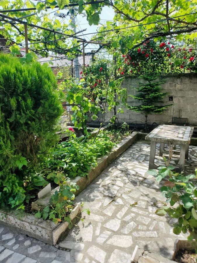 Lake Ohrid Guesthouse "Villa Valentina" Pogradec Eksteriør billede